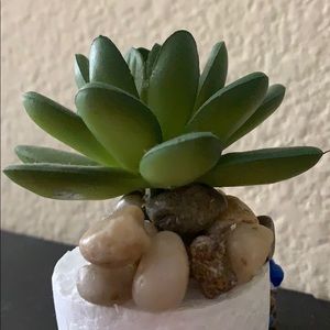 Meet your Posher, Mohan kumar